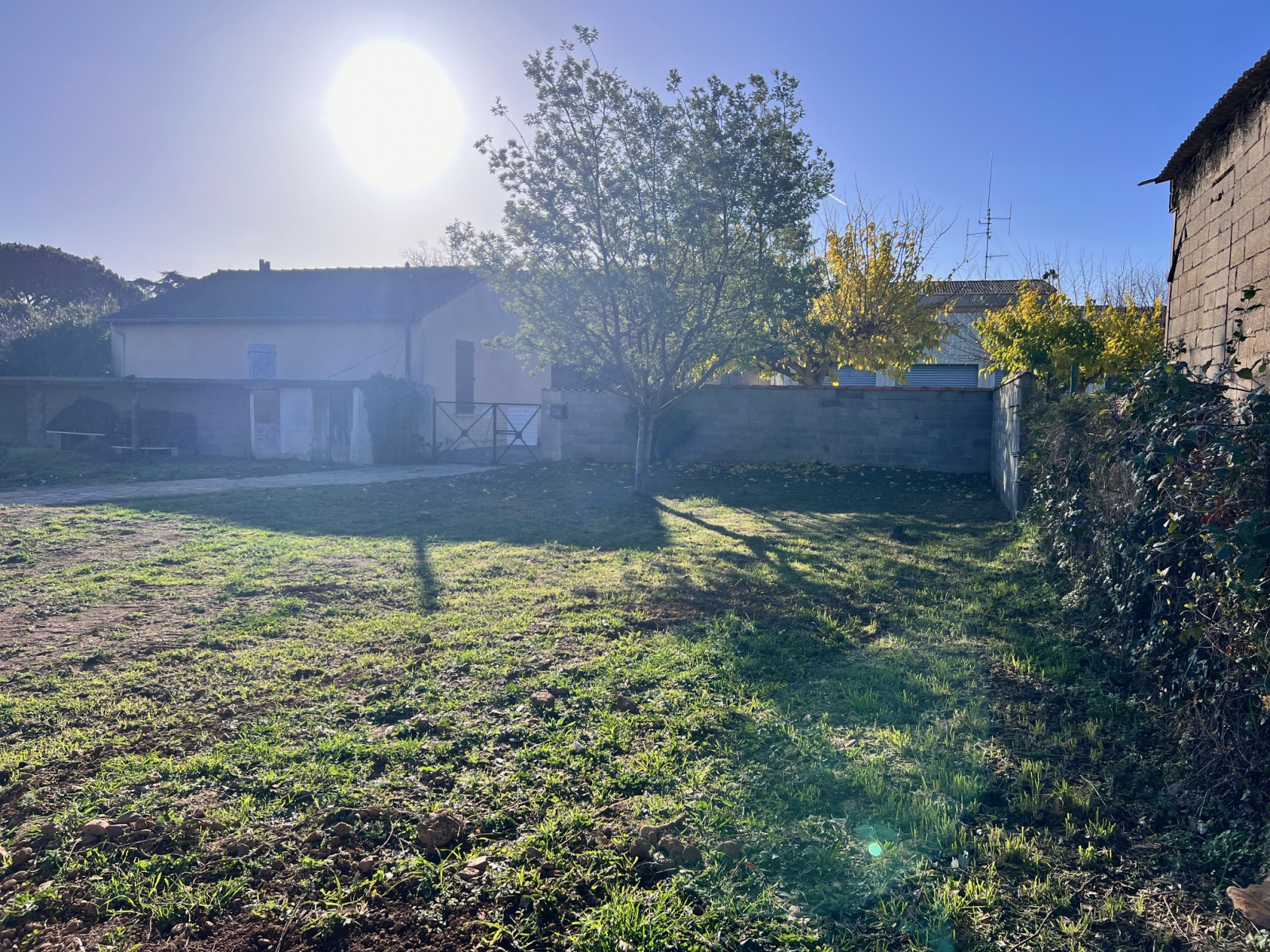 Image_, Terrain, Saint-Nazaire-d'Aude, ref :2033